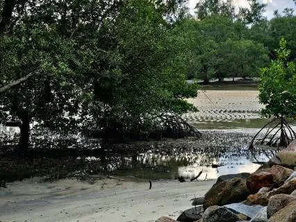 The Midnight Train - A Sleep Story