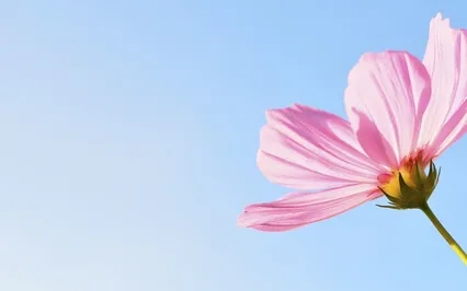 The Mind Escaping Into Pleasure Leads To A Vicious Circle