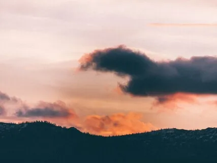 The Mind-Heart Body Connection 