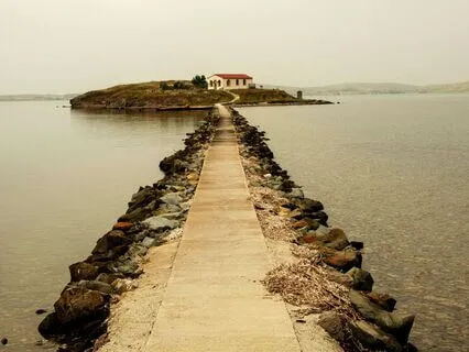 The Mind Knows Its Own Way Home