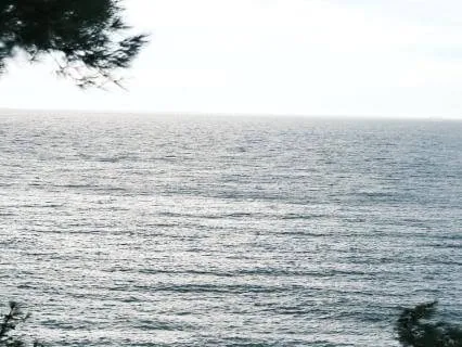 The Mind's Quiet Hour: 741 Hz Evening Clarity