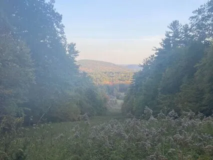 The Mindful Mirror: A Guided Awareness Practice