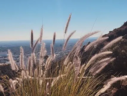 The Mindful Pause | Meditation To Help Reset