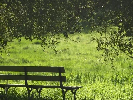 The Mindful Unemployed (Studio Recording)