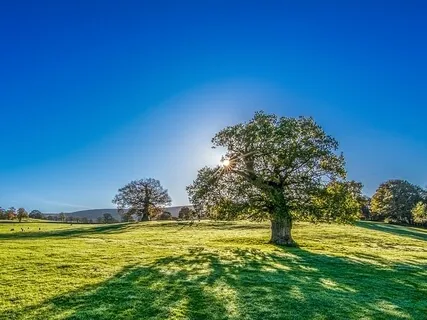 The Mindfulness Code #1 - Intro To Healing Breath