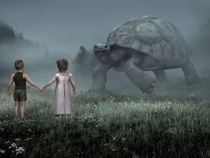 The Mindfulness Of The Tortoise & The Snail