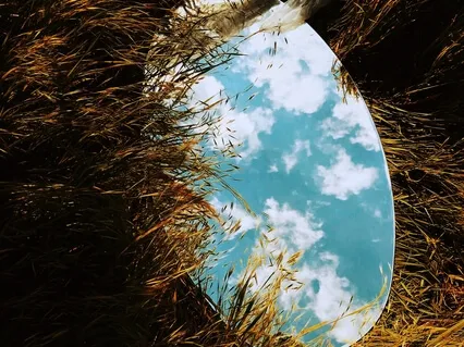 The Mirror And The Universe