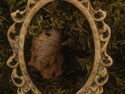 The Mirror Of Success