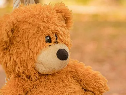 The Missing Teddy Bear (Meditation)