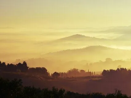 The Mists Of Time: A Journey To Your Heart