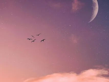 The Moon Is Back: Majestic Sound Bath