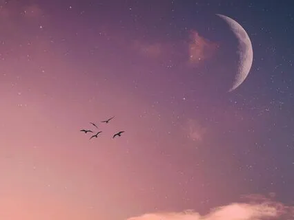 The Moon's Consciousness