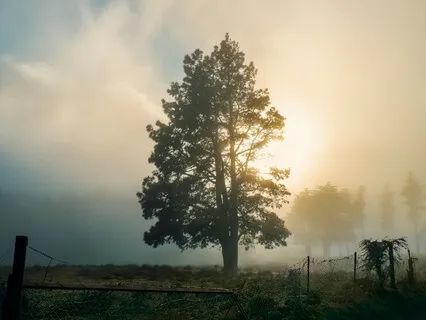 Breathe | Rumi Poem