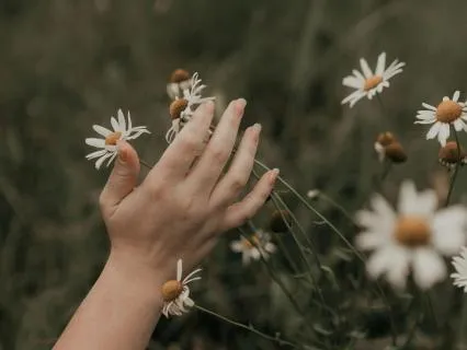 The Most Beautiful Dream (1 Hour)