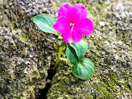 The Most Effective Way To Solve Internal Clearance