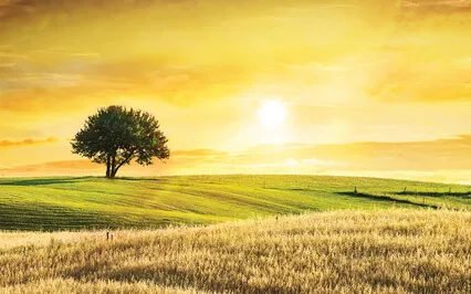 The Most Holy Place (Prayer Overture 3)