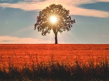 Talk: The Most Important Meditation - Meditating On Oneself