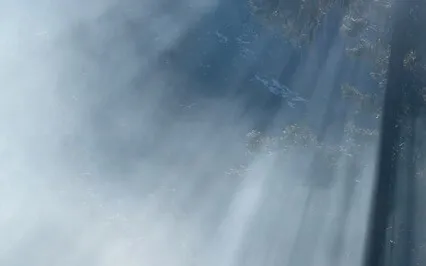 The Most Important Question