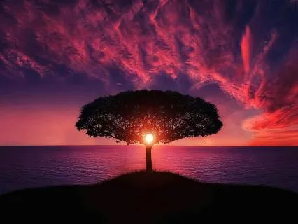 The Most Powerful Self-Inquiry: Am I Aware?