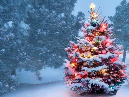 The Most Powerful Tuning Forks For The Holidays