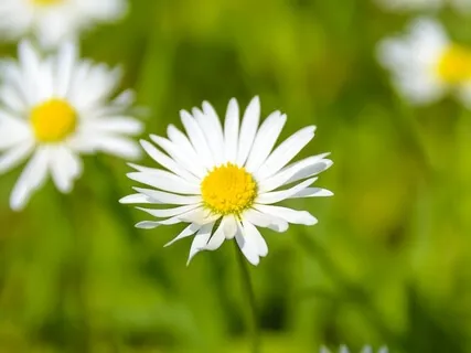 The Most Relaxing, Healing & Meditation Music By Anikiko