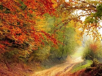 The Most Relaxing Music In The World