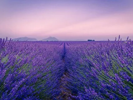 The Most Soothing Breath