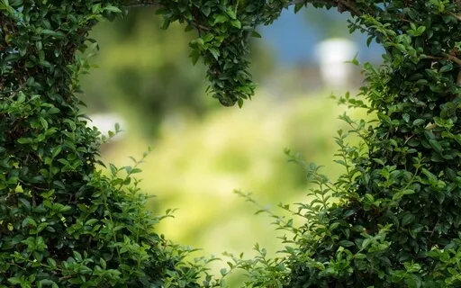 The Mother Meditation & Affirmation