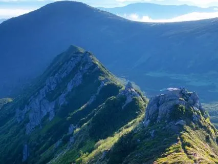 The Mountain Meadow: A Journey To Empowerment