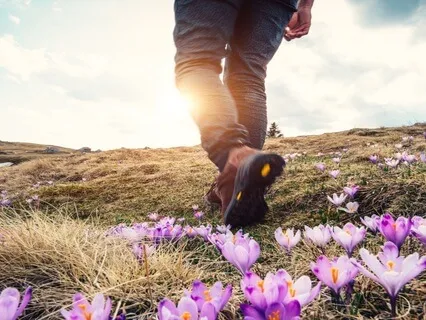 The Mountain Of Heartbreak And Healing