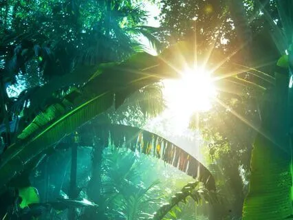 The Movement Of Life | Poppy Meets The Snake | Bedtime Story