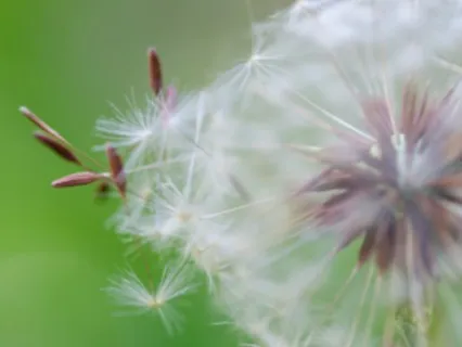 The Movements of Mind