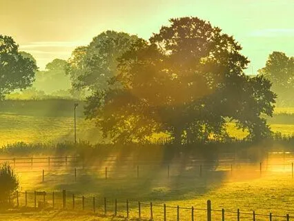 The Multidimensional Being: Bedtime Story