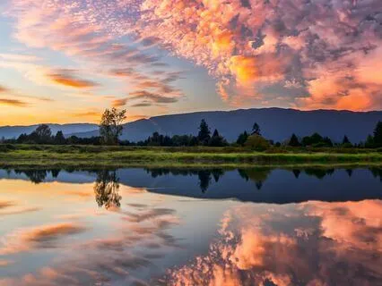 The Multidimensional Portal (Epsilon Waves + Delta Waves)