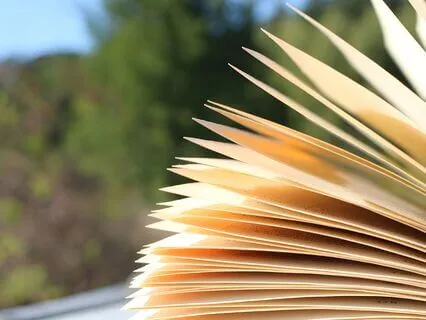 The Murder Of Roger Ackroyd | Reading Chapters 20-End