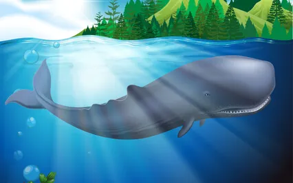 The Music Box - Children's Sleep Meditation