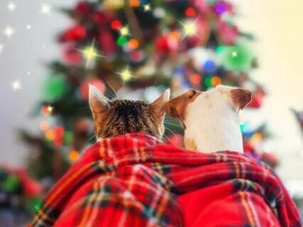 "The Mystery Of Santa Claus" Story Time Audio Book