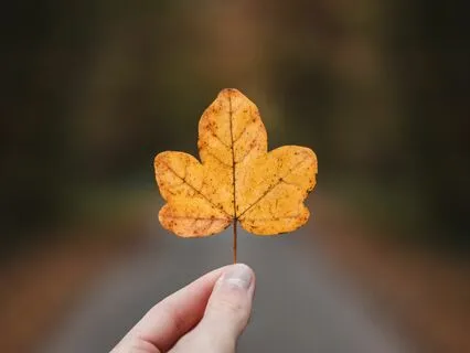 The Myth of Perfection