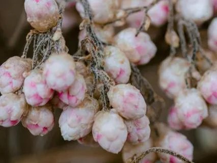 The Myth That Wanting More Makes You Demanding