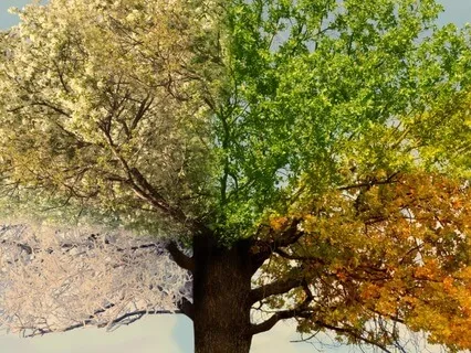 The Natural Cycles Of Life