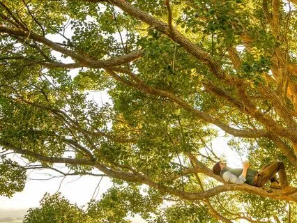 The Natural Sense Of Being