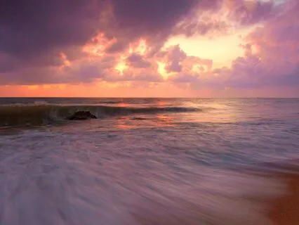 The Natural Way - The Sea