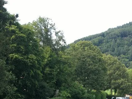 The Naturalness Of Being