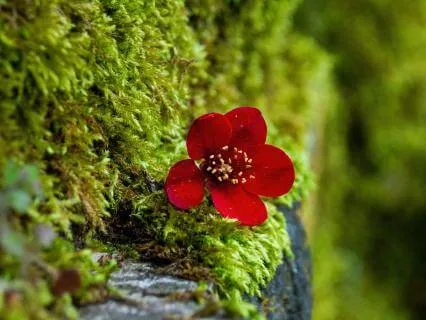 The Nature Of Feeling – 7 Minute Meditation