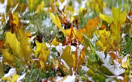 The Nature Of Impermanence 