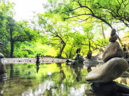 The Nature Of Music And Vibration