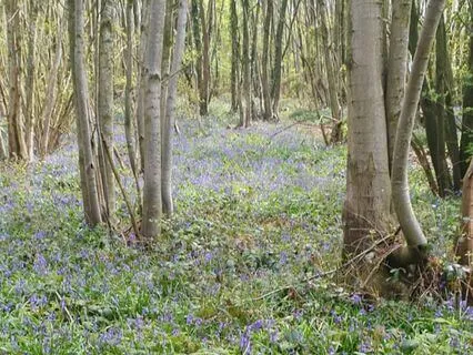 The Nature Of Our Substance