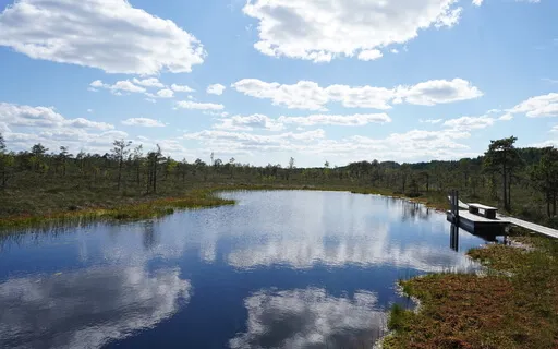 The Nature Of The Mind