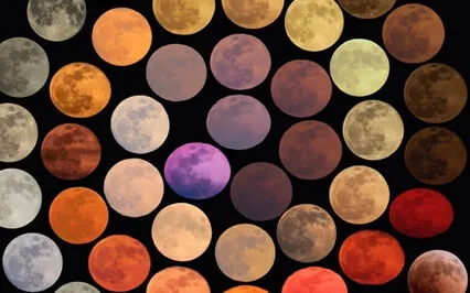 The Need For Universal Consciousness