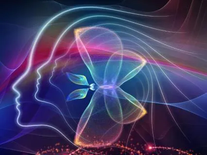 The Nervous System Reset